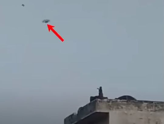 В Индия заснеха на ВИДЕО маймуна, държаща...