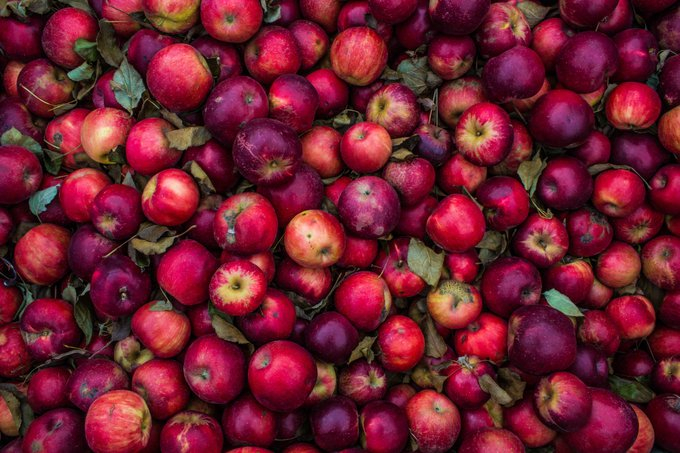 7 продукта, които силно подобряват храносмилането 