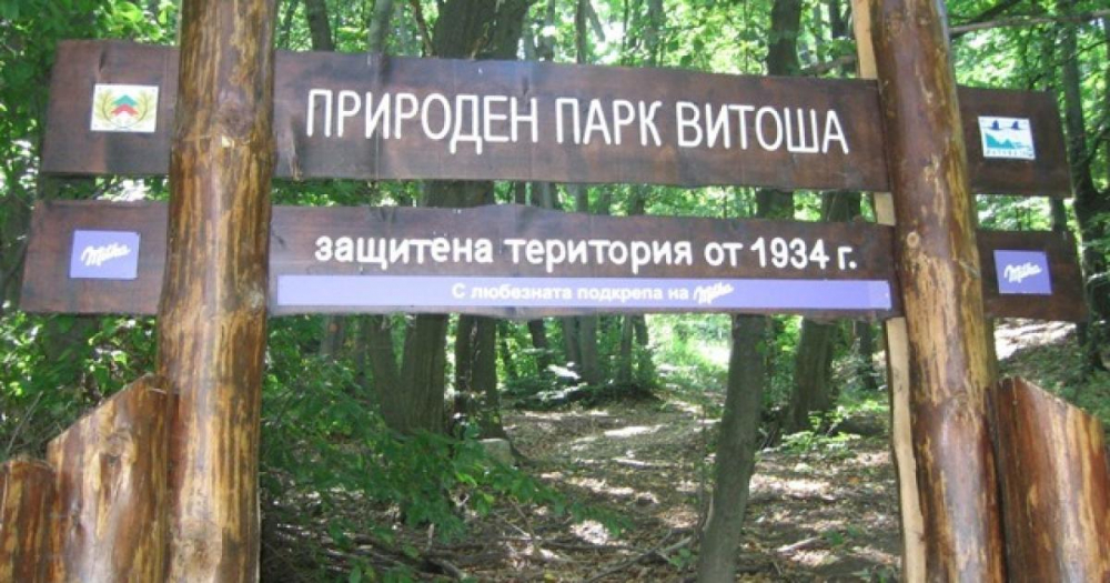Ура! Отварят "Витоша" за разходки