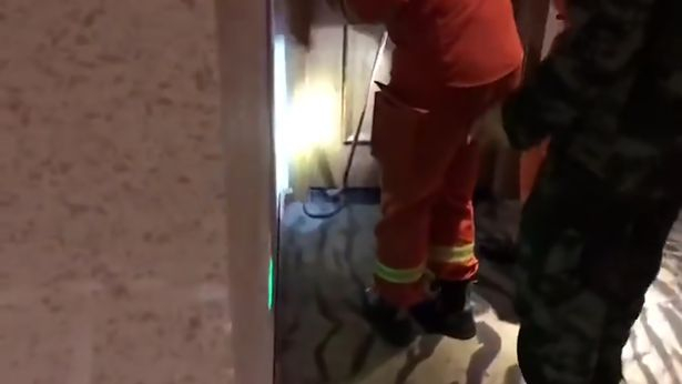 Изнасилвач заплаши жена с отровна змия и умря в страшни мъки ВИДЕО