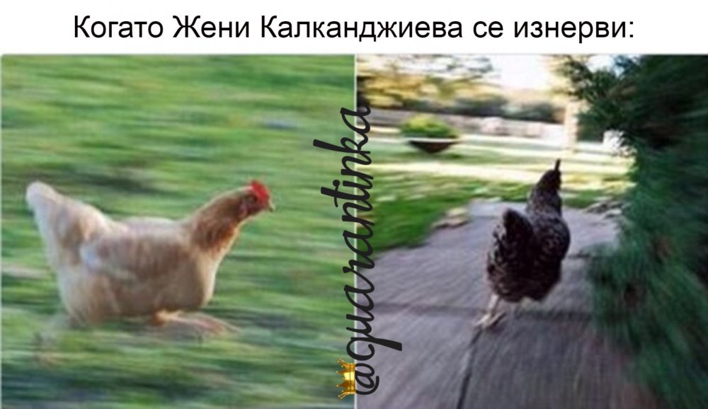 В мрежата скъсват от подигравки Жени Калканджиева СНИМКИ 