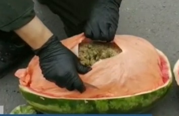 Неочаквано! Полицаи откриха 150 кг дрога, скрита в дини ВИДЕО