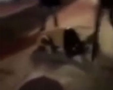 Ексклузивни подробности за кървавия екшън в столичния кв. "Св. Троица"