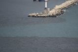 Стотици трупове осеяха плажа край Варна заради... ВИДЕО 