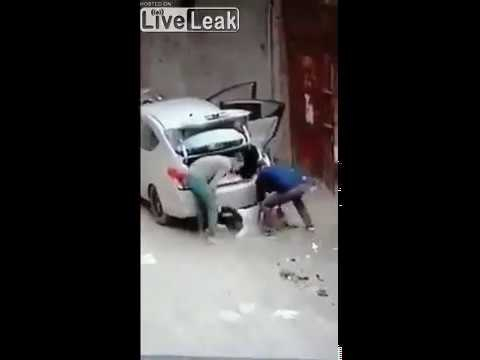 Не е истина: Крадци на добитък натъпкаха крава и две овце в кола ВИДЕО