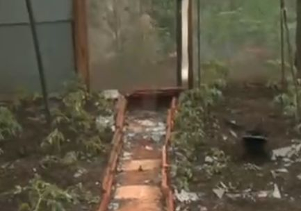 Вижте пораженията от градушката колкото кокоше яйце, ударила Северозапада СНИМКИ