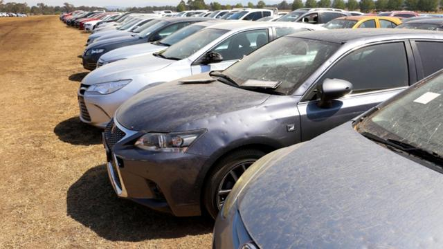 Жестоката градушка срина бизнеса на автокъща в Австралия СНИМКИ