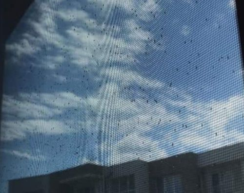 Невиждано явление хвърли в шок и ужас Бургас СНИМКА