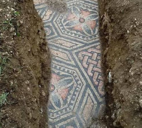 Учени онемяха, когато в лозе откриха... СНИМКИ