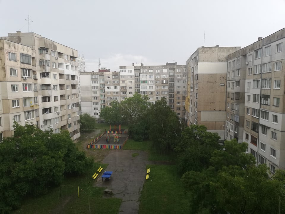 Страшен порой удави София СНИМКИ