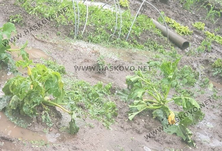 Страшна градушка помля всичко в Хасковско ВИДЕО 