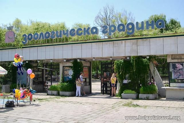 Столичната зоологическа градина с вход свободен за Деня на детето