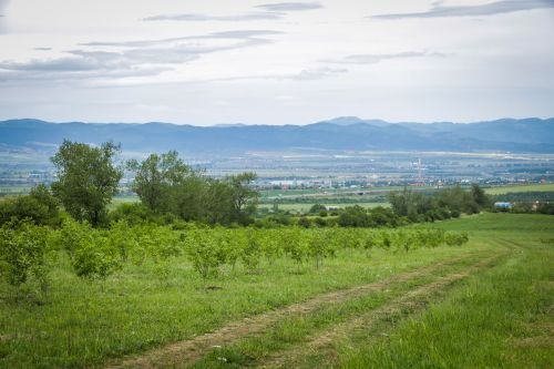 Фандъкова зарадва софиянци с тези СНИМКИ