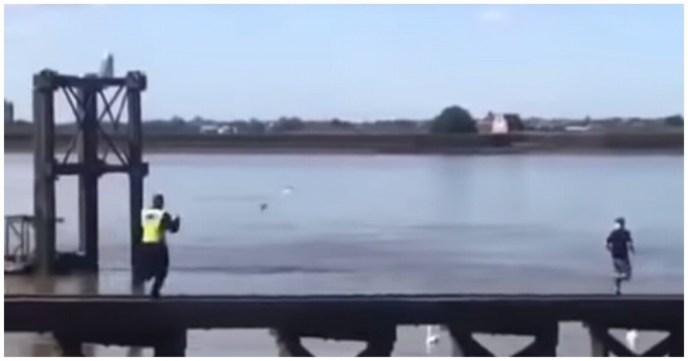 Полицейско преследване приключи с неочакван край ВИДЕО