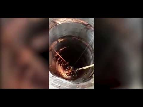 Професор спаси котка от дълбок кладенец, падна и се случи чудо ВИДЕО