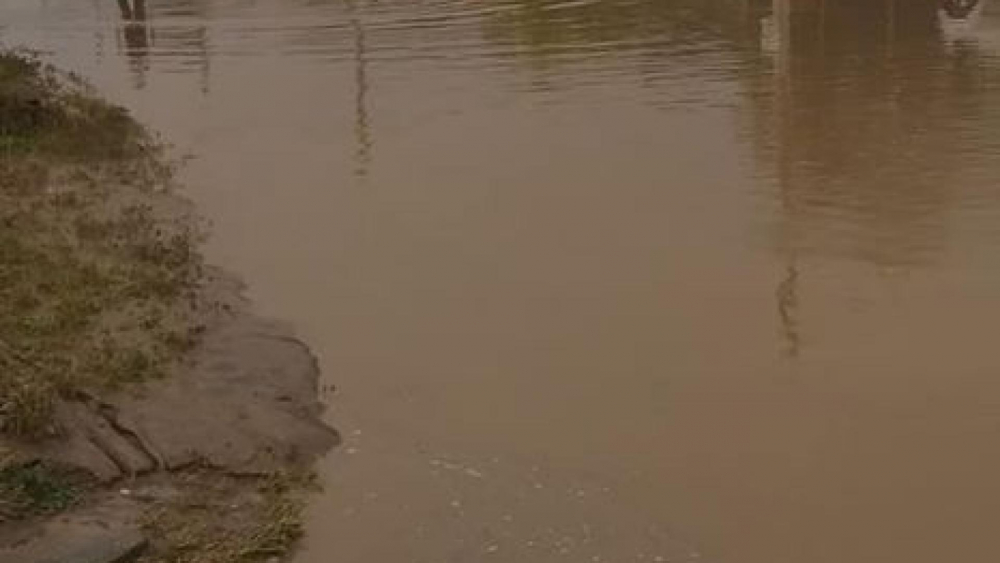  Бедствие, невиждано от 40 години, връхлетя Добричко, всичко е под вода СНИМКИ