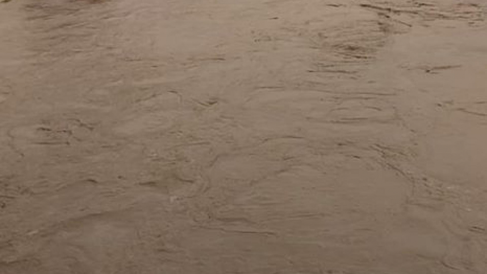  Бедствие, невиждано от 40 години, връхлетя Добричко, всичко е под вода СНИМКИ