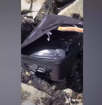 Ужас: Младежи отвориха "на живо" куфар, в който откриха човешки останки ВИДЕО