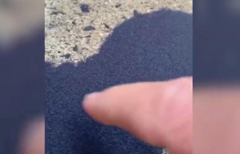 Ужас: Жена намери хиляди миниатюрни извънземни в двора си ВИДЕО