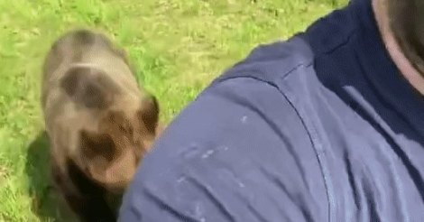 Младеж записа зловещо ВИДЕО с мечка в гората