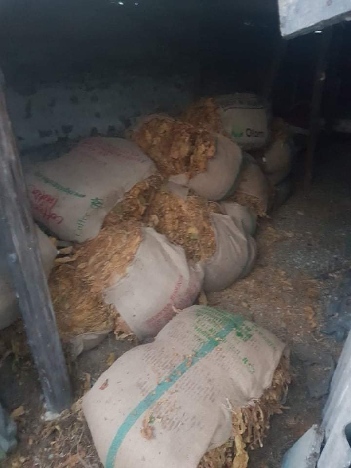 Първо в БЛИЦ: Разбиха банда Пловдивско ЗРЕЛИЩНО ВИДЕО