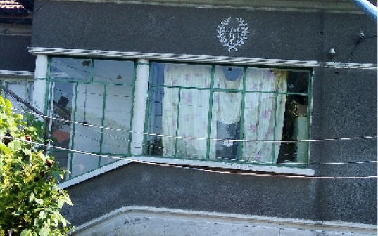 Луди и агресивни близнаци тровят живота на видинското село Градец СНИМКИ