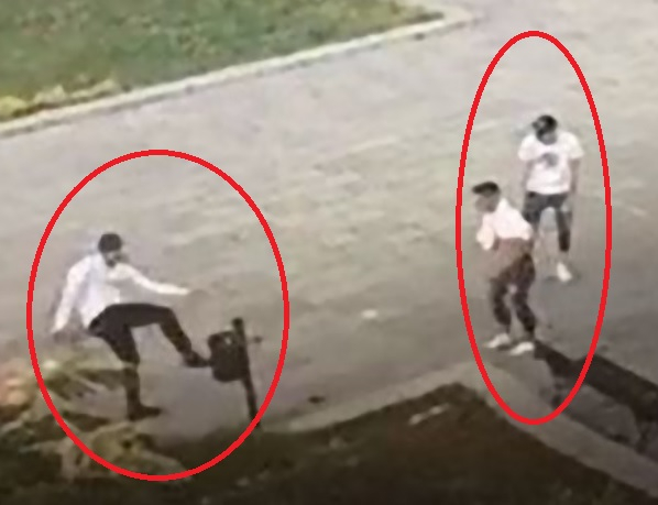 Няма по-големи простаци от пияни млади русенци! ВИДЕО