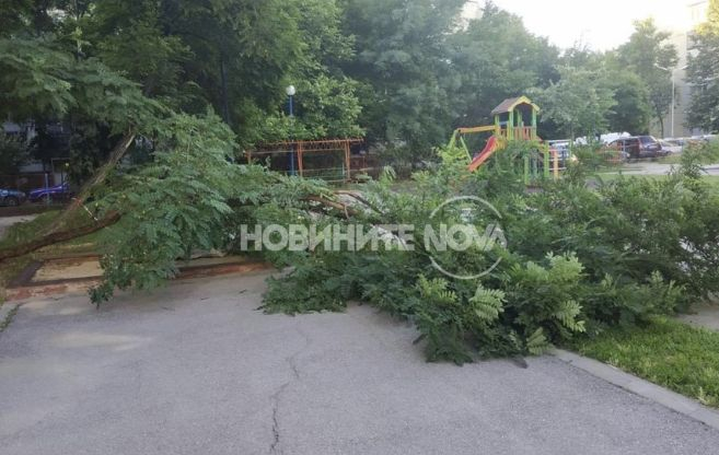 Силният вятър направи страховити поразии в столична забавачка СНИМКИ 