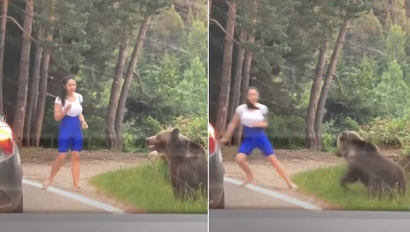 Момиче реши да се снима с дива мечка и почти й стана обяд ВИДЕО