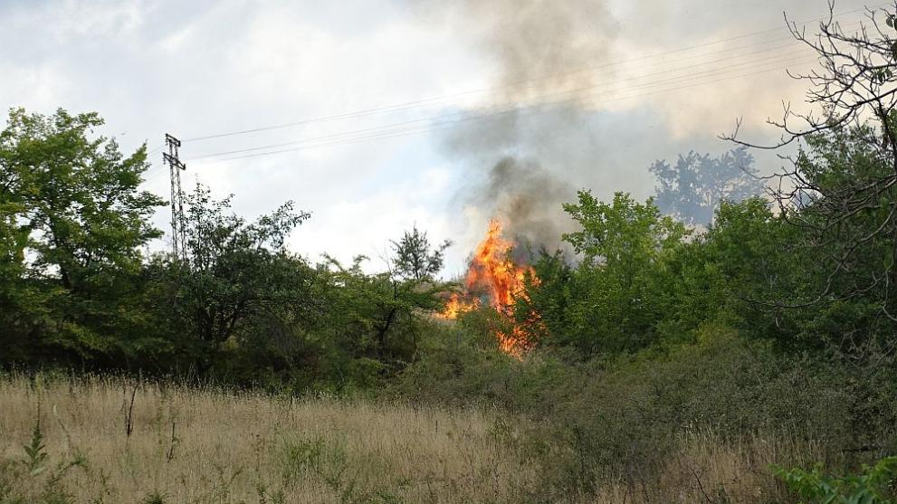 Пожар избухна край Благоевград СНИМКИ