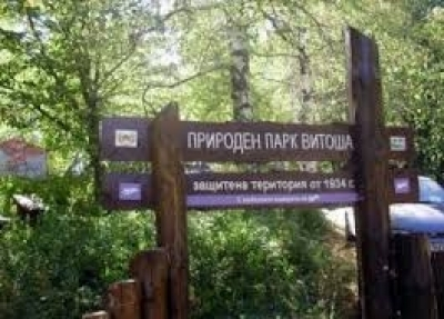 ДНСК започна проверки на имоти във вилна зона "Витоша"