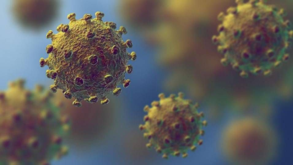СЗО с много мрачно предупреждение за COVID-19 и самоизолацията 