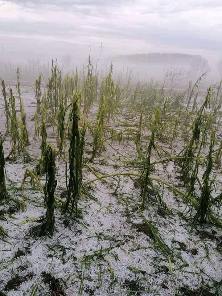 Невиждана стихия удари Румъния, всичко побеля ВИДЕО
