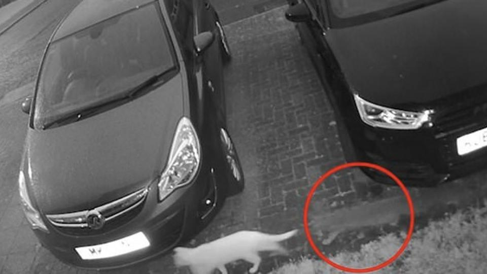 Призрачно ВИДЕО: Жена погледна този запис и се убеди в наличието на духове 
