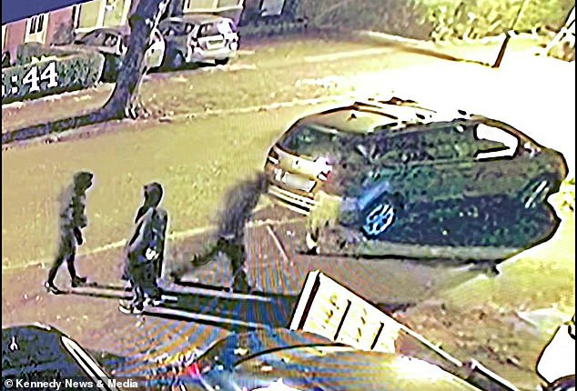 Крадци с мачете влязоха да обират къща, но им се случи случка ВИДЕО