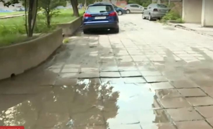 Такова чудо в столичния "Зона Б-5" не е виждано от години ВИДЕО
