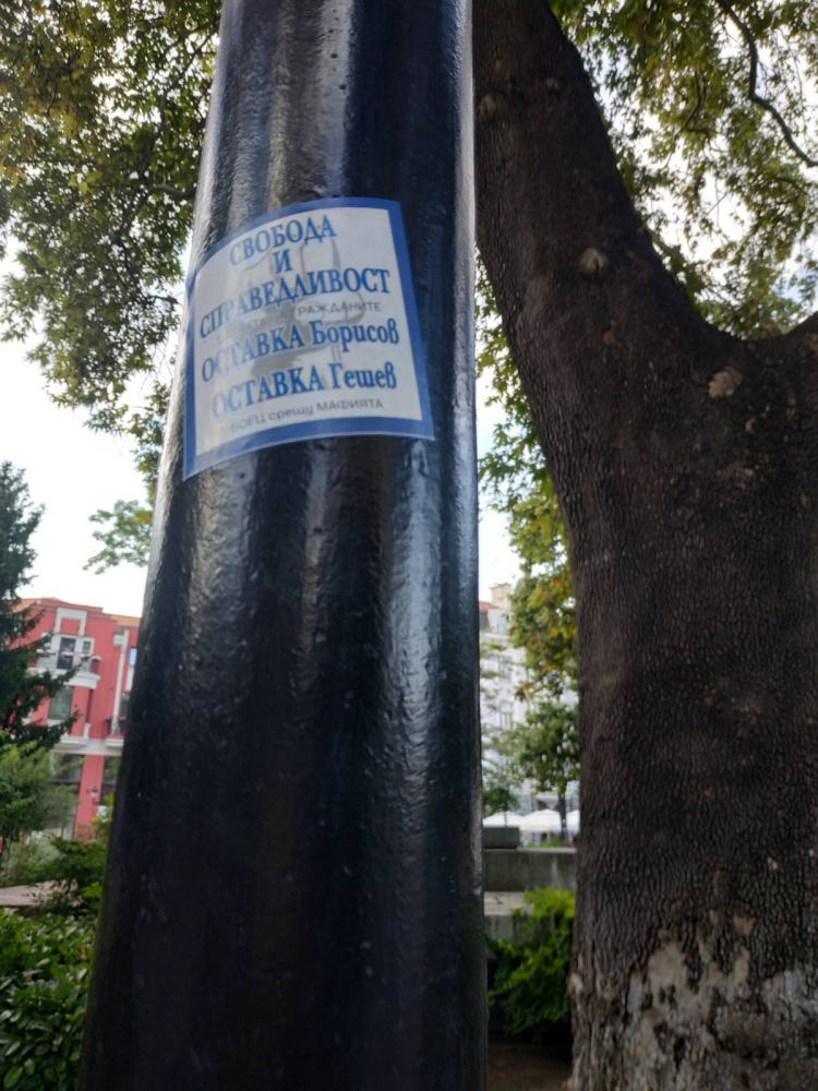 Провокация на протеста в Пловдив! Заключиха психично болна, а от БОЕЦ лъжат, че... СНИМКИ