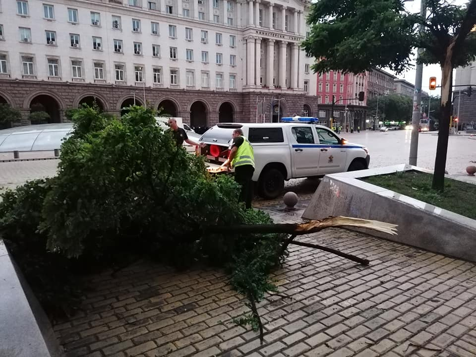 Първи СНИМКИ от погрома в София 