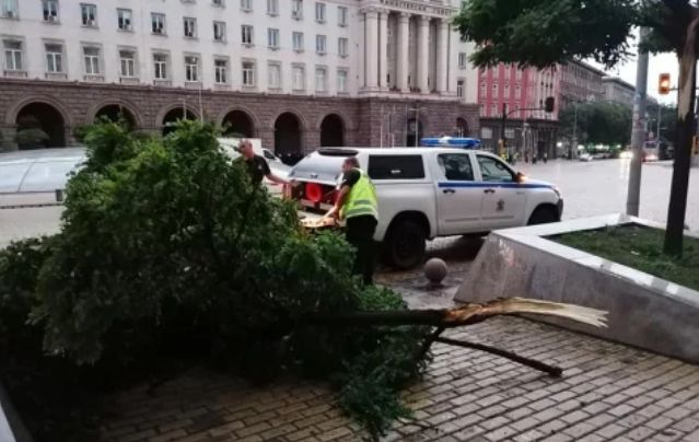 Дъждът удави София