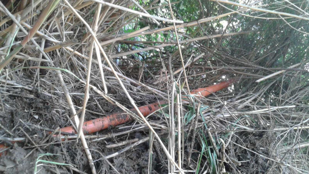 И фекалните води от палата на "зеления" Прокопиев  се изливат в морето, канализацията му е незаконна СНИМКИ