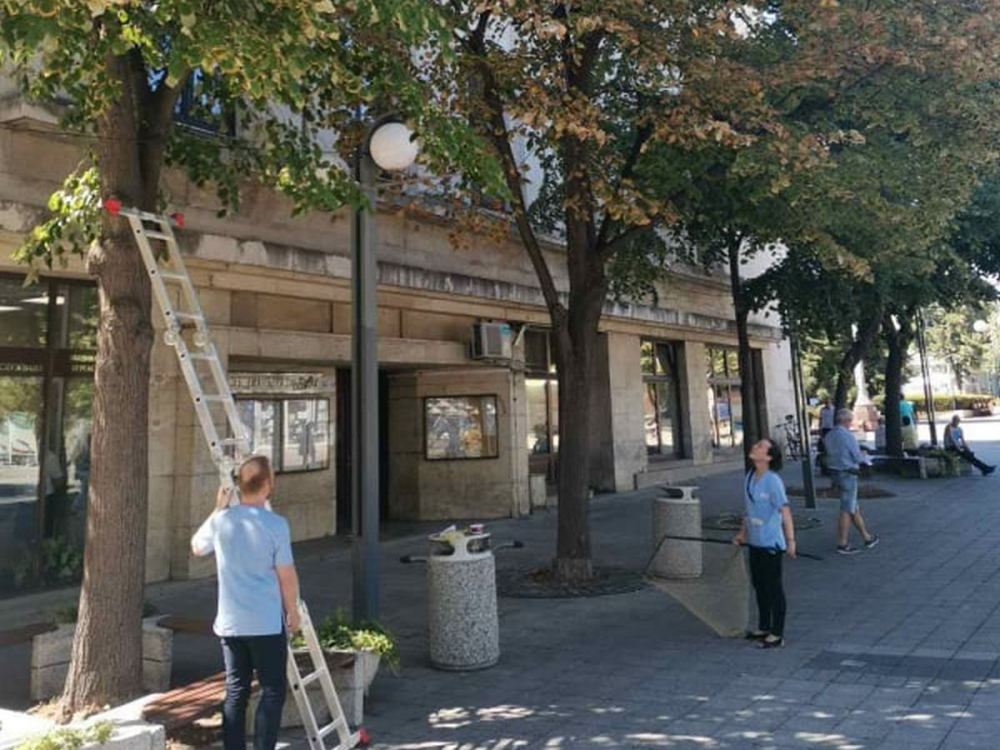 Голям екшън в Бургас с беглец на дърво СНИМКИ 