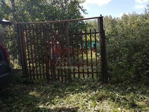 Невинен купон на бременна жена и приятелката й завърши с кървав кошмар