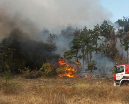 Извънредна ситуация край Хисаря, намесиха се пожарникари СНИМКИ