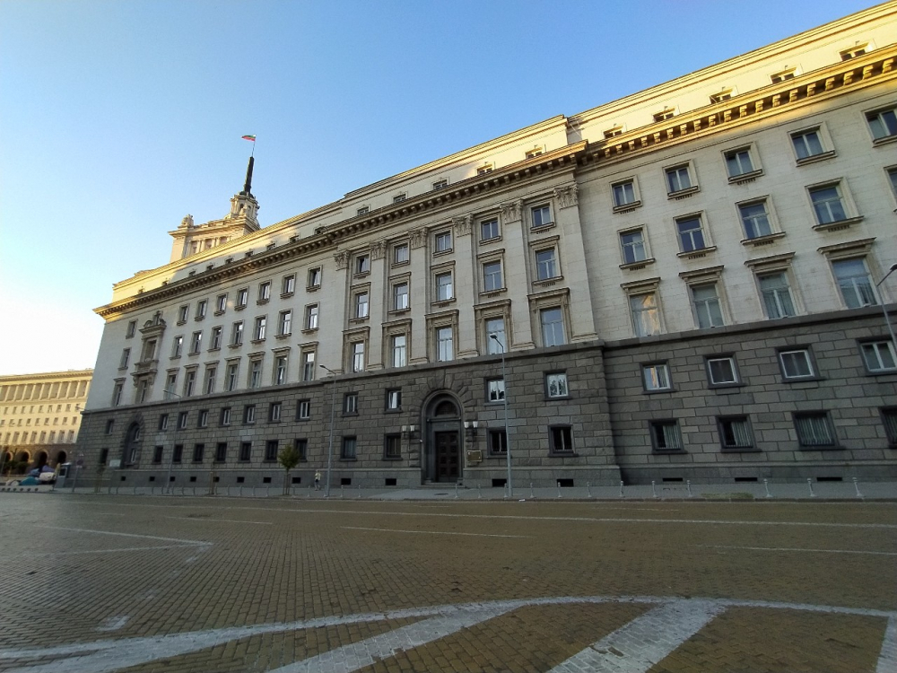 Много жалка картинка на днешния протест СНИМКИ