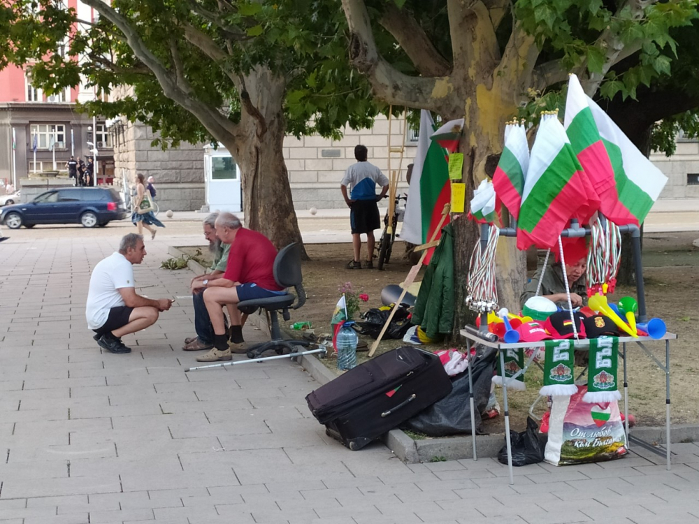 Много жалка картинка на днешния протест СНИМКИ