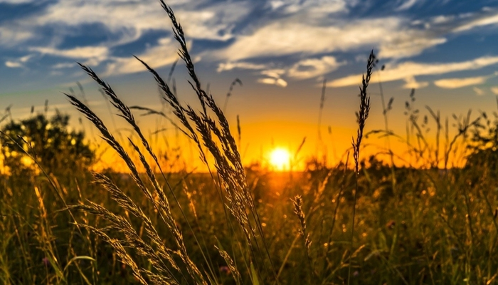 Лятото си отива: Трайно захлаждане започва от петък, температурите падат до... 