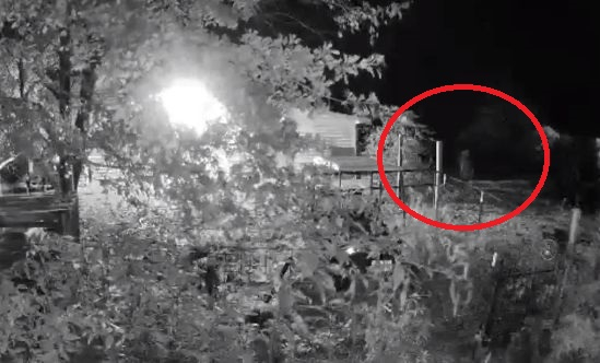 Жена изгледа зловещо ВИДЕО от камерите в ранчото си и се вледени от ужас 