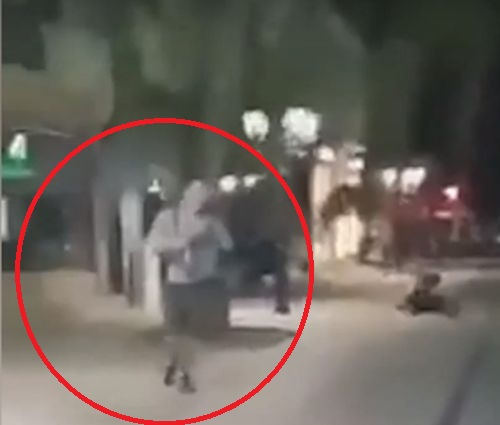 Цяла България беснее заради диващината на този пишлигар във Видин ВИДЕО