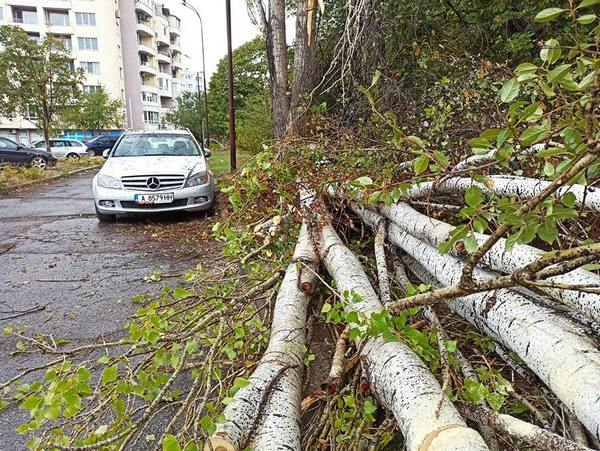Шаш: Смъртна опасност дебне бургазлии СНИМКИ