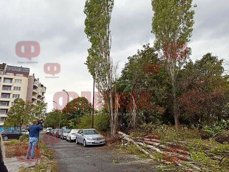 Шаш: Смъртна опасност дебне бургазлии СНИМКИ